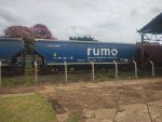 RUMO HTT-351698-9